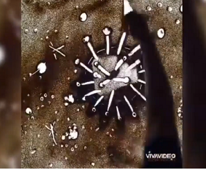 Azərbaycanlı rəssam Lalə Hüseynzadə qum üzərində təsvir etdiyi əsəri koronavirus (COVID-19) pandemiyasına həsr edib